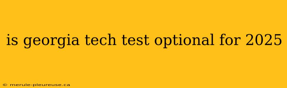 is georgia tech test optional for 2025