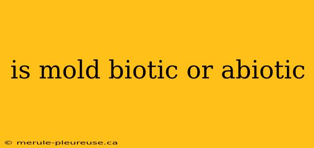 is mold biotic or abiotic