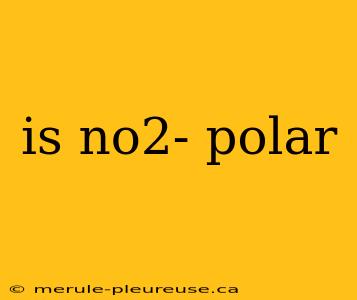 is no2- polar