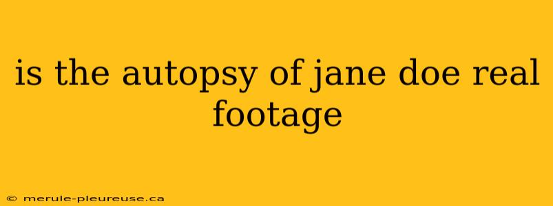 is the autopsy of jane doe real footage