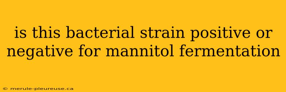 is this bacterial strain positive or negative for mannitol fermentation