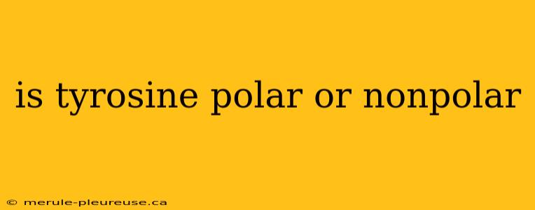 is tyrosine polar or nonpolar