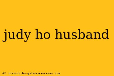 judy ho husband