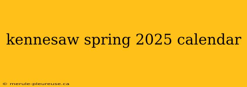 kennesaw spring 2025 calendar