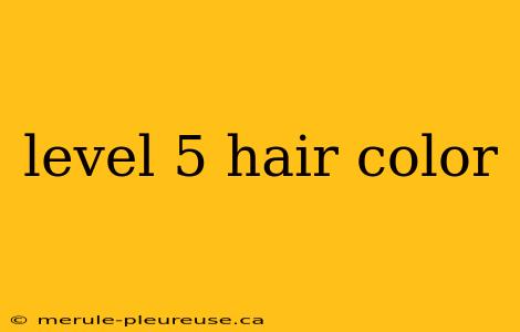 level 5 hair color