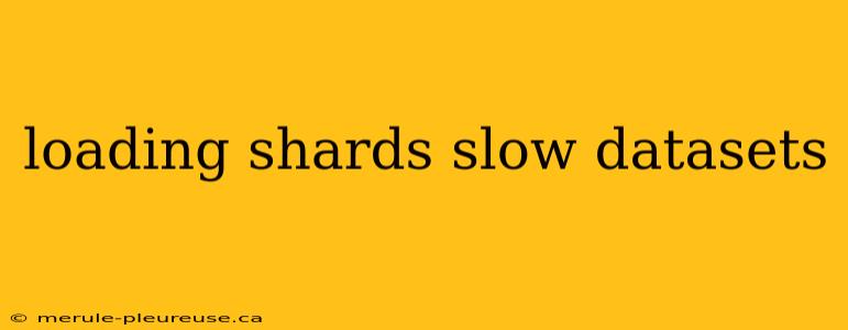 loading shards slow datasets