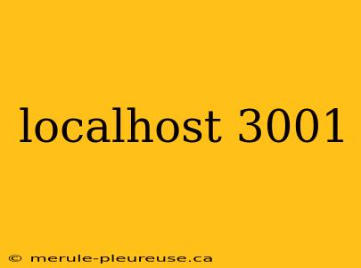 localhost 3001