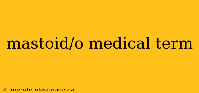 mastoid/o medical term