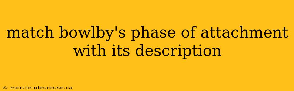 match bowlby's phase of attachment with its description