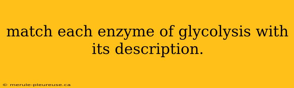 match each enzyme of glycolysis with its description.