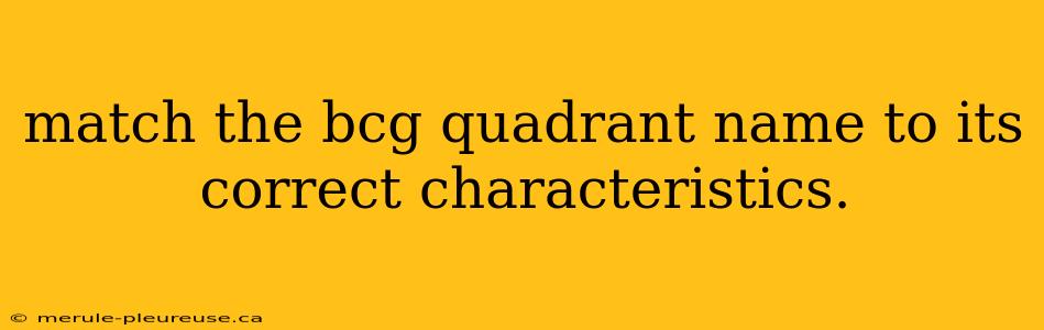 match the bcg quadrant name to its correct characteristics.