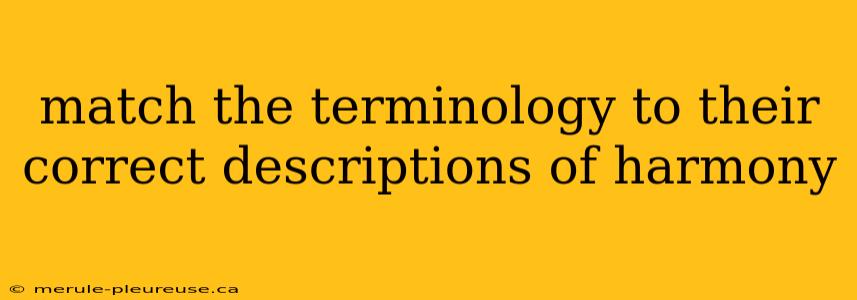 match the terminology to their correct descriptions of harmony