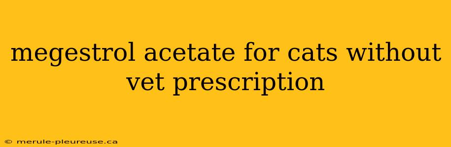 megestrol acetate for cats without vet prescription