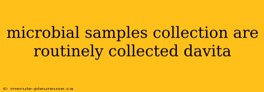 microbial samples collection are routinely collected davita