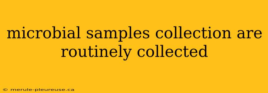 microbial samples collection are routinely collected