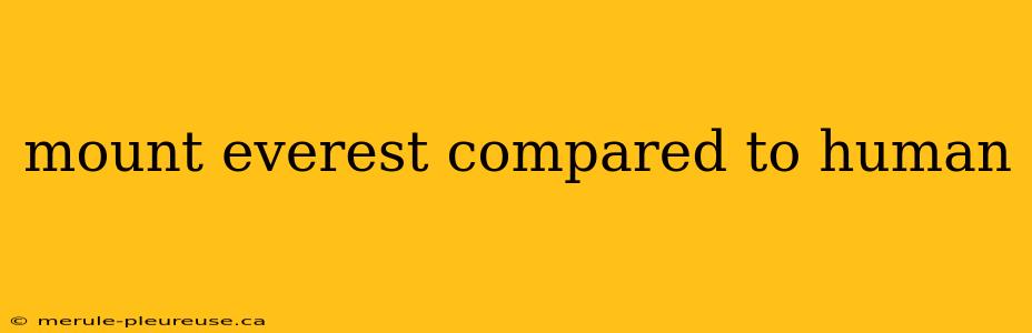 mount everest compared to human