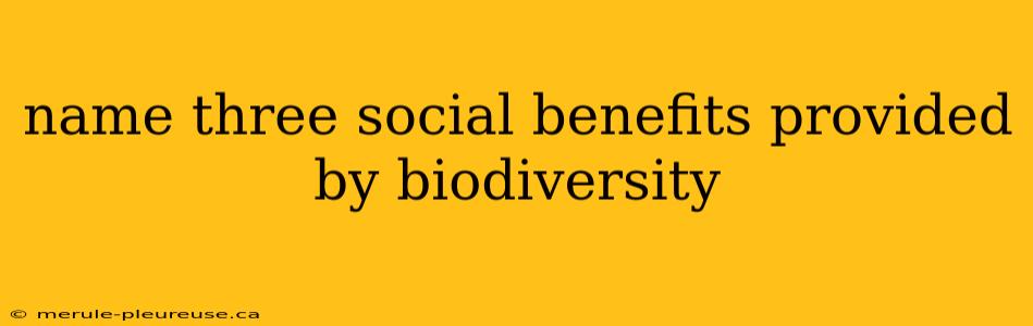 name three social benefits provided by biodiversity