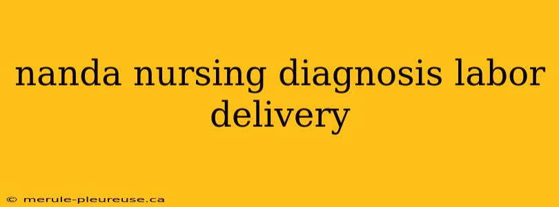 nanda nursing diagnosis labor delivery