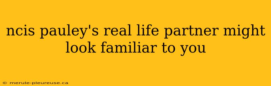 ncis pauley's real life partner might look familiar to you