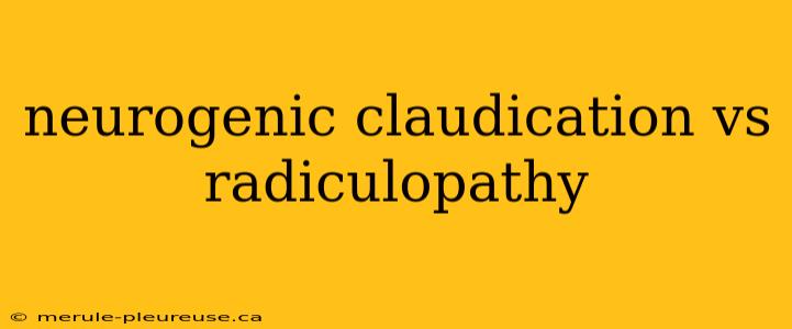 neurogenic claudication vs radiculopathy