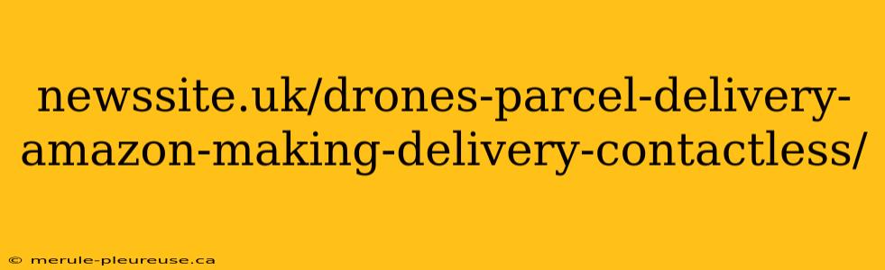 newssite.uk/drones-parcel-delivery-amazon-making-delivery-contactless/