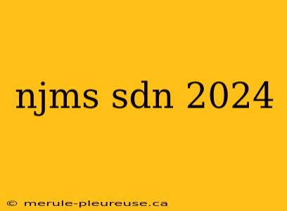 njms sdn 2024