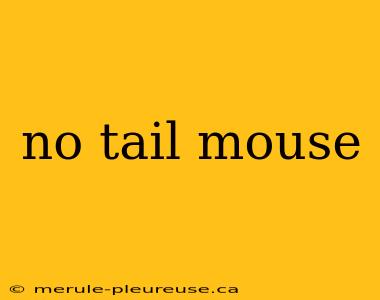 no tail mouse