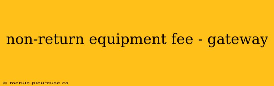 non-return equipment fee - gateway