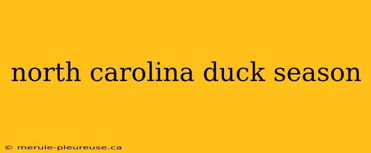 north carolina duck season