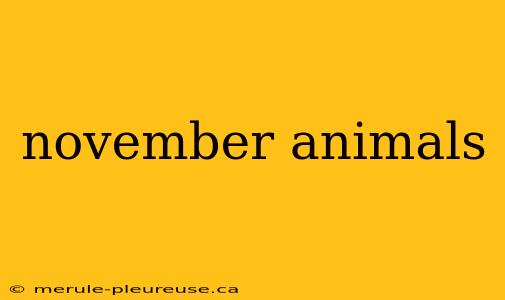 november animals