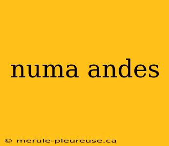 numa andes