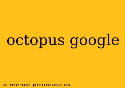 octopus google