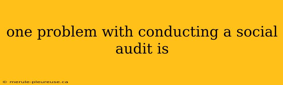 one problem with conducting a social audit is