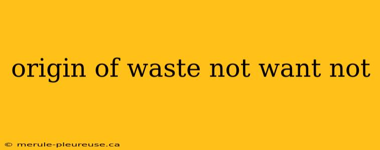 origin of waste not want not