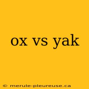 ox vs yak