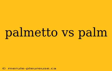 palmetto vs palm