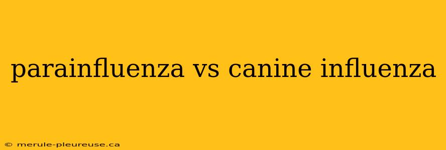 parainfluenza vs canine influenza