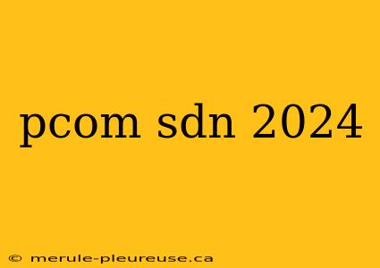 pcom sdn 2024