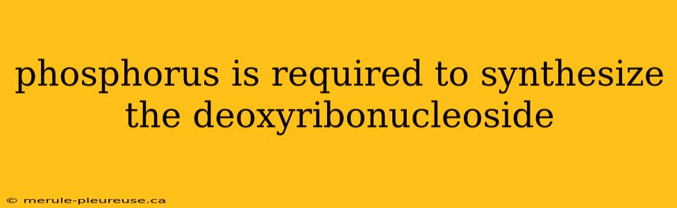 phosphorus is required to synthesize the deoxyribonucleoside