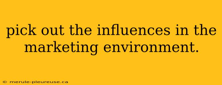 pick out the influences in the marketing environment.