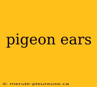 pigeon ears