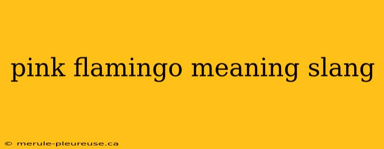 pink flamingo meaning slang