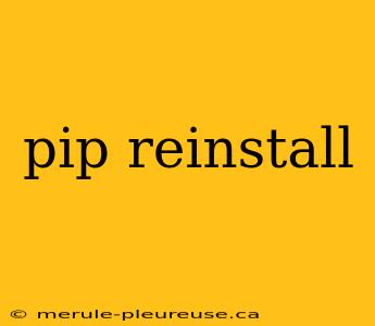 pip reinstall