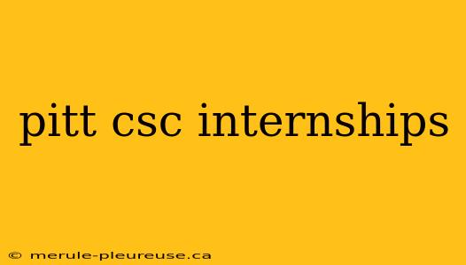 pitt csc internships