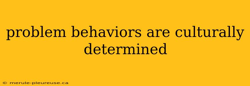 problem behaviors are culturally determined