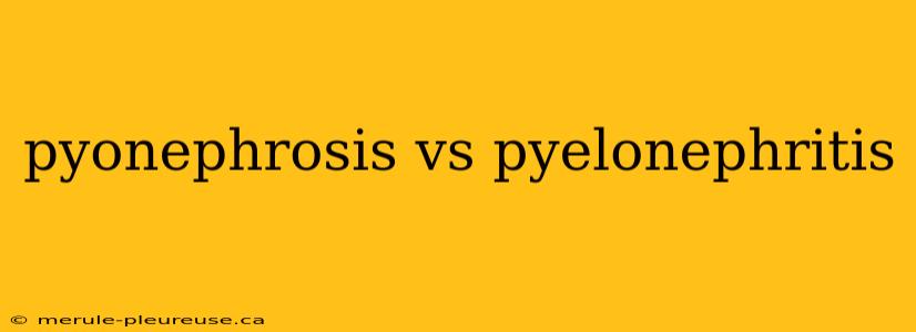 pyonephrosis vs pyelonephritis