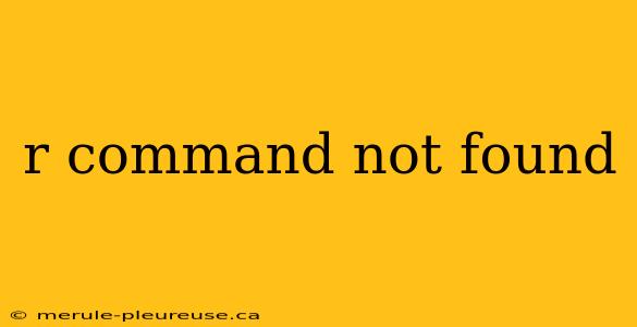 r command not found