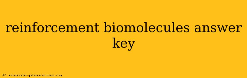 reinforcement biomolecules answer key