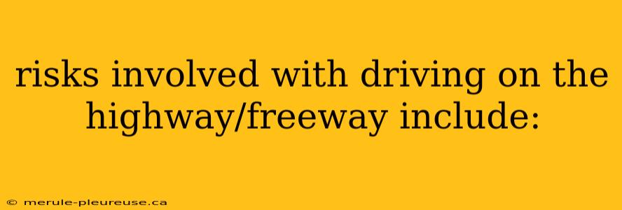 risks involved with driving on the highway/freeway include: