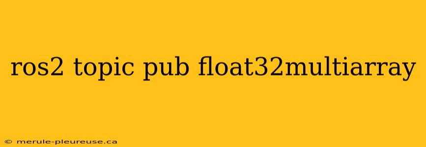 ros2 topic pub float32multiarray